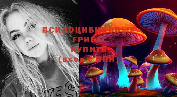 прущие грибы Майский