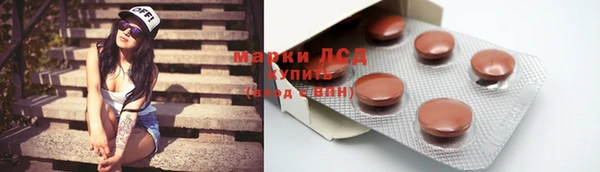 прущие грибы Майский