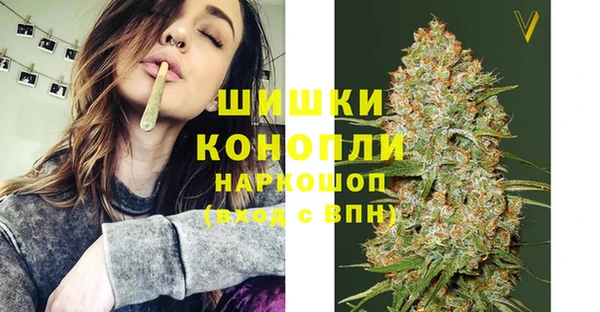 прущие грибы Майский