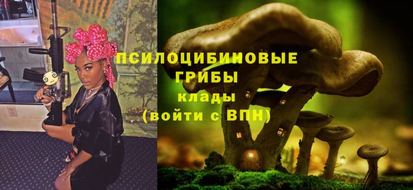 mdpv Медвежьегорск
