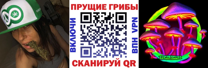 Псилоцибиновые грибы прущие грибы  Купить где  Хабаровск 